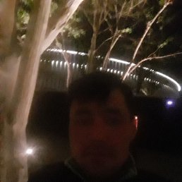 ���� �����, ���������, 44 ���� - ��������� 6 ��� 2023