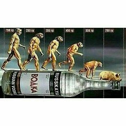 �����, ������, 29 ���