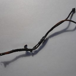 ����, ������, 54 ����