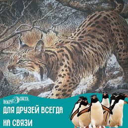 ������, ������ �����, 63 ����