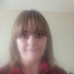 �������, ��������, 41 ���