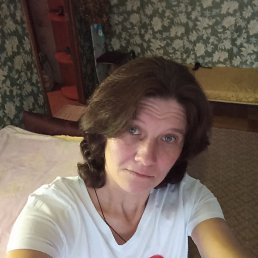 ���� ���������, �����-���������, 44 ���� - ��������� 2 �������� 2023