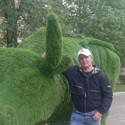 �������, ������, 42 ����