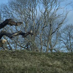 ����, ����, 46 ���