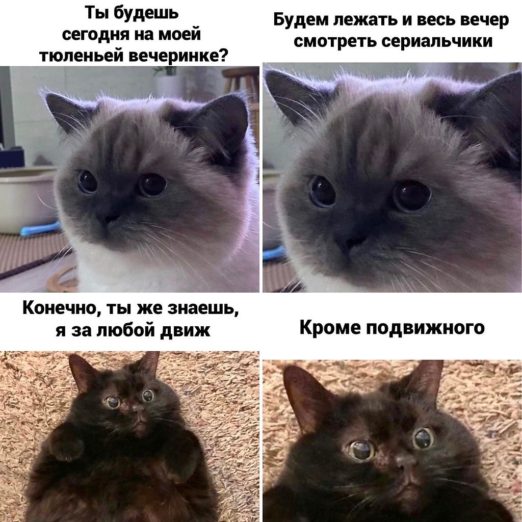    - 28  2023  23:23