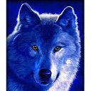 ���� �������, ���������, 53 ���� - ��������� 12 ��� 2023