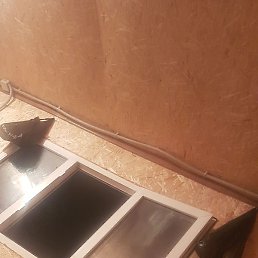 ������, ���������, 33 ����