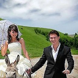 ����, ������, 37 ���