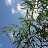 ���� Michail, ������, 43 ���� - ��������� 7 ������� 2023