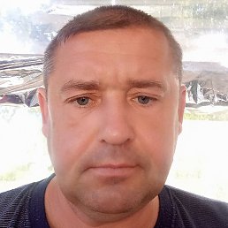 ������, �������, 45 ���