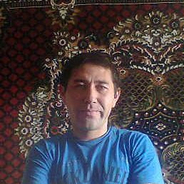 �����, ������, 45 ���