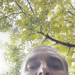 ���, ������, 37 ���