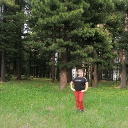 ���� �������, ��������, 56 ��� - ��������� 21 ���� 2023