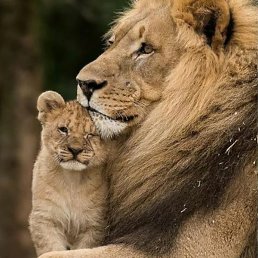 �����, ������, 34 ����