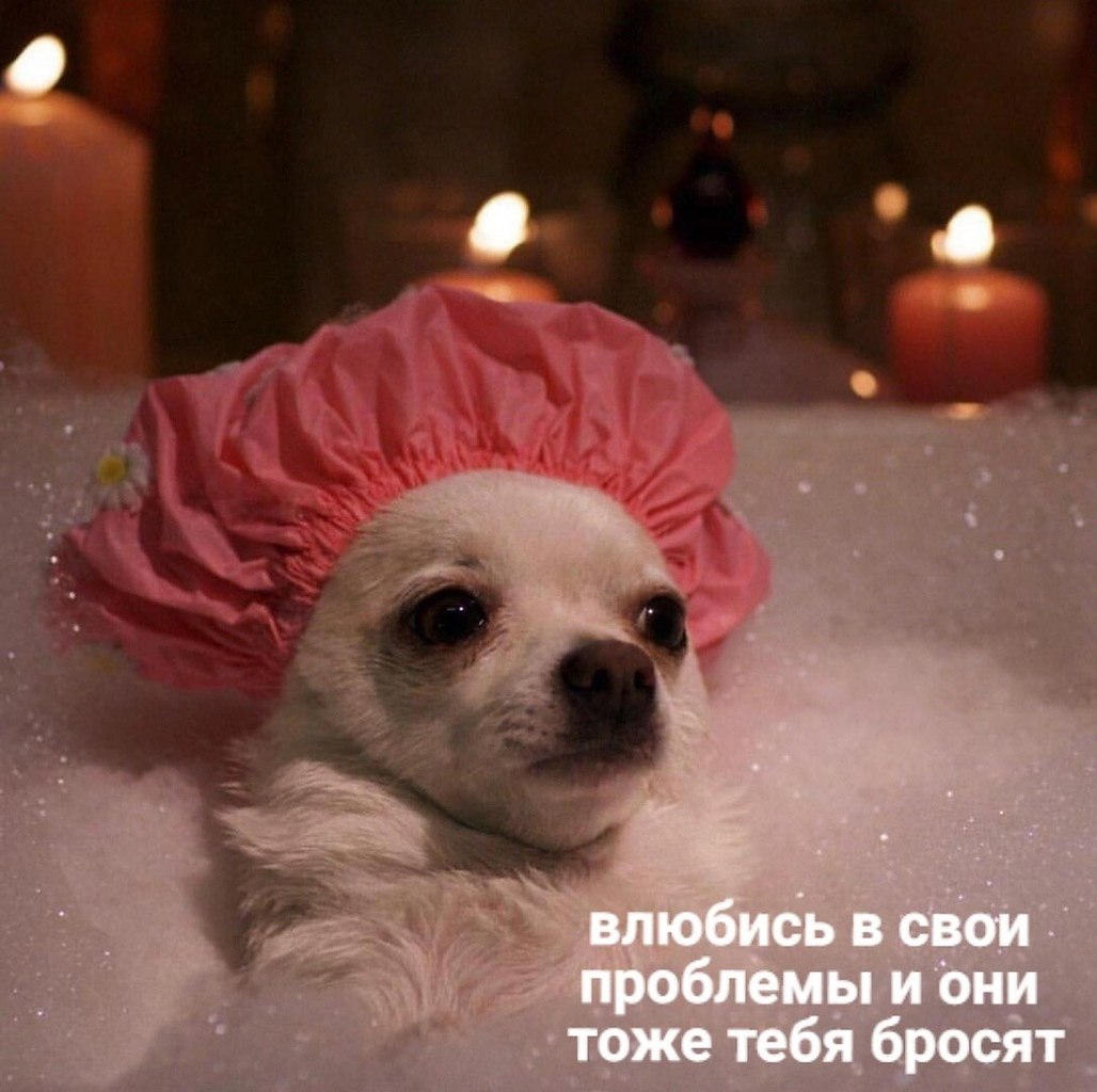    - 18  2023  11:13