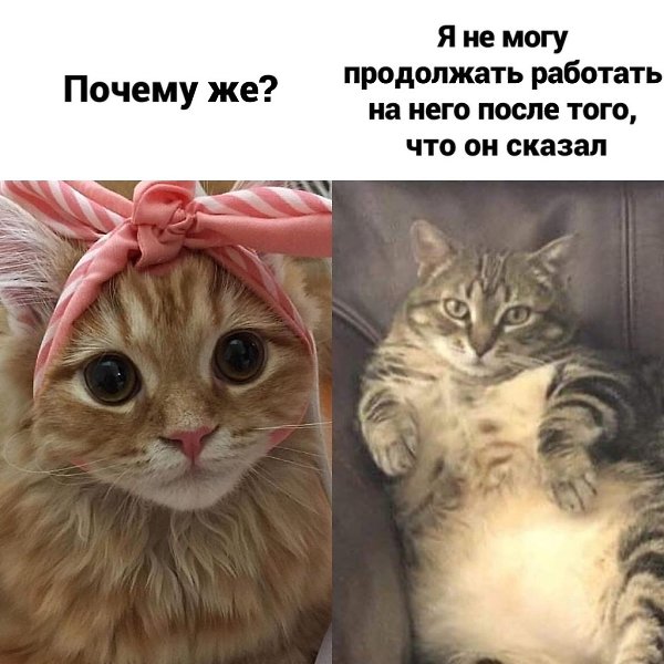    - 2
