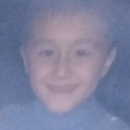 ��������, �������, 41 ���