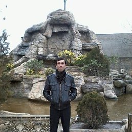 ���� ����, �����������, 41 ��� - ��������� 10 ������ 2023