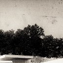 ���� Daniel, ���������, 44 ���� - ��������� 15 �������� 2023 � ������ ���� ����������