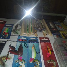 ���� ��������, �������, 61 ��� - ��������� 13 �������� 2023