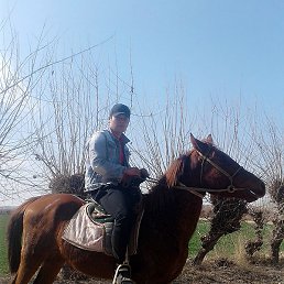 Miraziz, ������, 23 ����