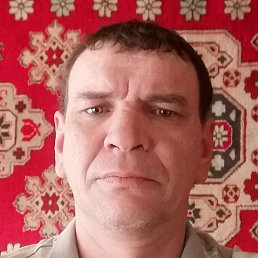 ��������, ������ ��������, 49 ���