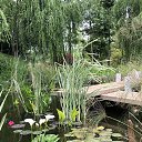 ���� �����, ������������, 53 ���� - ��������� 28 ��� 2023 � ������ ���� ����������