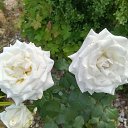 ���� �������, ������ - ��������� 9 ���� 2023 � ������ ���� ������� ����