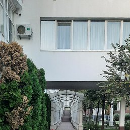 ���� ��������, ���������, 58 ��� - ��������� 3 ������� 2023