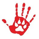 ���� �����, �����-���������, 43 ���� - ��������� 7 �������� 2023 � ������ ���� ����������