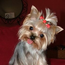 ����, ������, 45 ���