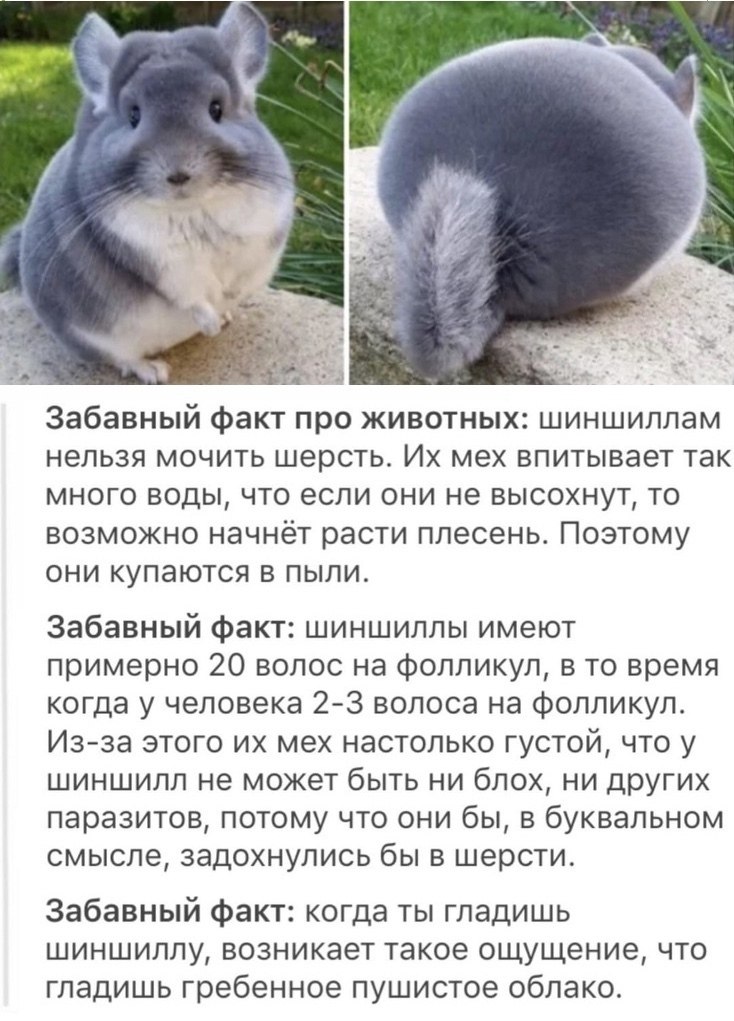 Discovery - 27  2023  11:18
