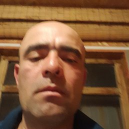 , , 42 
