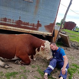 �����, ������ ��������, 43 ����