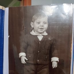 ���� �����, ����, 51 ��� - ��������� 11 ���� 2023