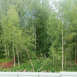 ���, ������, 34 ����