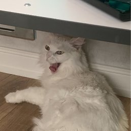, , 25 