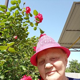 ���� ������, ���������, 81 ��� - ��������� 21 �������� 2023