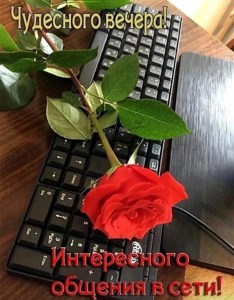 https://fotostrana.ru/away?to=/sl/hvC - 2