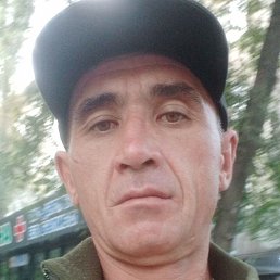 �����, ������, 46 ���