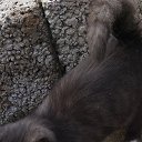 ���� ������, ���������, 38 ��� - ��������� 11 ������� 2023 � ������ ���� ����������