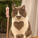 ���� Viktor, ����, 59 ��� - ��������� 5 ����� 2023