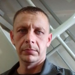 �������, �������, 41 ���