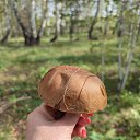 ���� ������, ����, 66 ��� - ��������� 28 �������� 2023 � ������ ���� ����������