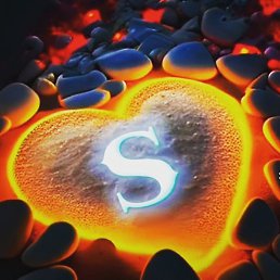 �����, �����-���������, 24 ����