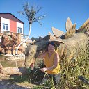 ���� �������, ��������� - ��������� 16 �������� 2023 � ������ ���� ����������