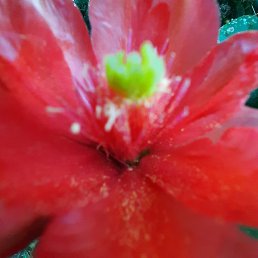 �����, ����, 57 ���