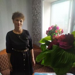 ���� ������, �������, 54 ���� - ��������� 7 ���� 2023