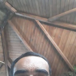 �����, ������, 46 ���