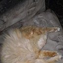 ���� �������, ������, 47 ��� - ��������� 10 ���� 2023